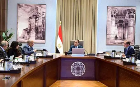 رئيس الوزراء يراقب التقدم المالي والتنفيذي لمشروع المحطة النووية في الضبعة