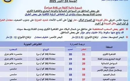 طقس الغد في القاهرة: خريف معتدل مع شبورة مائية كثيفة والعظمى تصل إلى 31 درجة