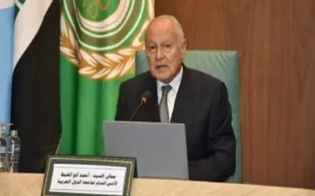 أبو الغيط يحذر من خطط الاحتلال الإسرائيلي لضم أراض فلسطينية في الضفة الغربية