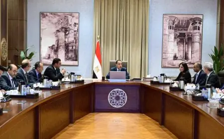 مدبولي يجتمع بالرئيس التنفيذي لشركة أكوا باور السعودية لاستكشاف فرص التعاون والشراكة