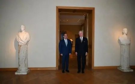 الرئيس السيسي يثني على استقبال ملك بلجيكا الحار خلال زيارته إلى بروكسل