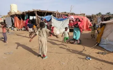 الأمم المتحدة تحذر من خطر موت آلاف الأطفال في الفاشر المحاصرة بالسودان