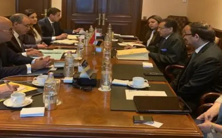 مصر تسعى لجذب استثمارات جديدة من خلال التعاون مع الشركات الأجنبية بحسب وزير الخارجية