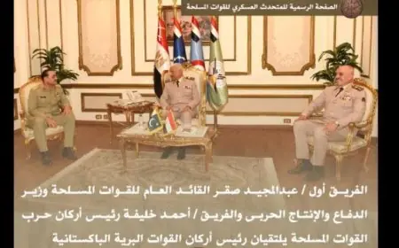 مصر وباكستان تتعهدان بتعزيز التعاون العسكري بحضور وزير الدفاع ورئيس الأركان