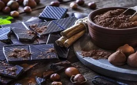 فوائد الشوكولاتة الداكنة لصحة الجهاز الهضمي والدماغ هل هي سلاح سرّي لصحتك؟