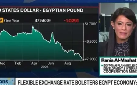 المشاط تؤكد استمرار برنامج الإصلاح الهيكلي لزيادة دور القطاع الخاص وجذب الاستثمارات الجديدة