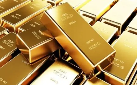 الذهب ينهي ارتفاعا تاريخيا ويحقق أول خسارة أسبوعية منذ 10 أسابيع