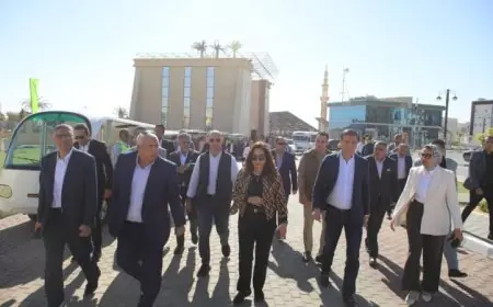 وزيرا التنمية المحلية والزراعة يزوران مجمع المصالح الحكومية في الخارجة لتعزيز الخدمات الحكومية