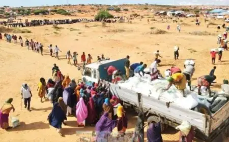 الأونروا تكشف عن جاهزية مواد الإغاثة الشتوية للفلسطينيين في مصر لكن عجز وصولها إلى غزة مستمر