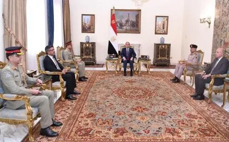 الرئيس السيسي يثمن التحسن الملحوظ في العلاقات بين مصر وباكستان