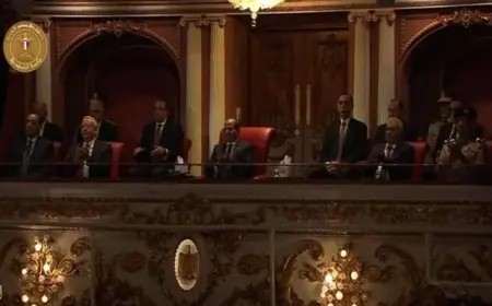 الرئيس السيسي يشارك في احتفالية وطن السلام لتعزيز قيم التعايش السلمي