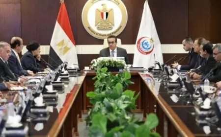 وزير الصحة يسعى لإنهاء التحضيرات لمؤتمر عالمي حول السكان والصحة
