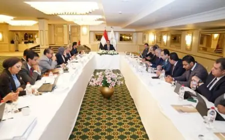 السبكي يكشف عن افتتاح فروع جديدة للمنيا ومطروح استعدادا للمرحلة الثانية من مشروع التأمين الشامل