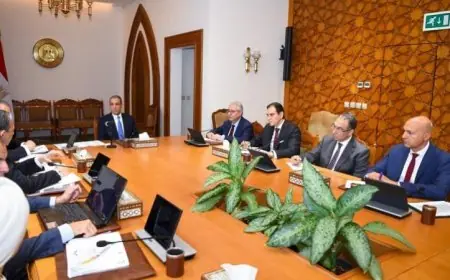 وزير الخارجية يشرف على التحضيرات النهائية لافتتاح المتحف المصري الكبير