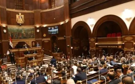 تشكيل هيئات مكاتب اللجان النوعية في مجلس الشيوخ يعزز العمل البرلماني