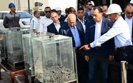 رئيس الوزراء يستعرض مراحل إنتاج مصنع الشركة المصرية لبلوكات الأنود الكربونية