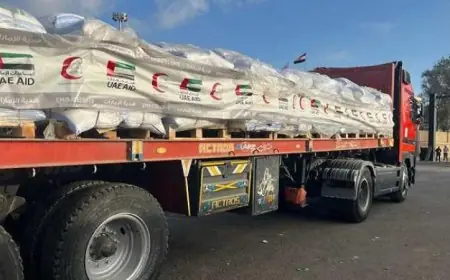30 شاحنة مساعدات إماراتية تصل إلى قطاع غزة عبر معبر رفح