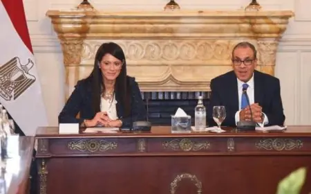 عبدالعاطي والمشاط يثمنان مساهمة الأمم المتحدة في تعزيز السلام والتنمية المستدامة