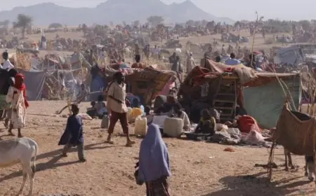 الأمم المتحدة تطالب بوقف فوري لإطلاق النار في الفاشر بالسودان