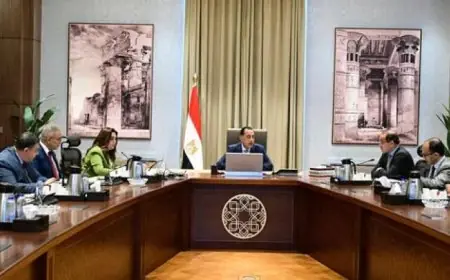 رئيس الوزراء يراقب ملفات هامة مشتركة بين وزارتي التنمية المحلية والمالية