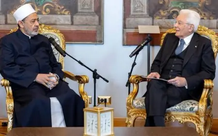 شيخ الأزهر يدعو الرئيس الإيطالي للاعتراف بدولة فلسطين في تصريح هام