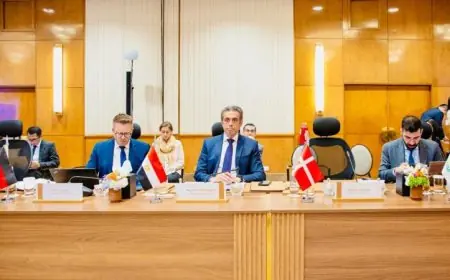 مصر تعزز جهودها في الاجتماع التنسيقي للتحالف العالمي لدعم حل الدولتين