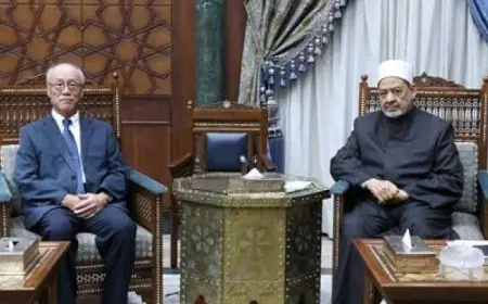 شيخ الأزهر والسفير الياباني في القاهرة يناقشان سبل تعزيز التعاون المشترك