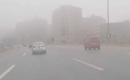 حالة الطقس اليوم حار نهارا وبارد ليلا مع وصول الحرارة في القاهرة إلى 29 درجة