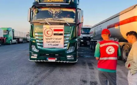 الهلال الأحمر المصري يطلق قافلة زاد العزة الـ 60 محملة بـ 9800 طن من المساعدات الإنسانية لصالح غزة