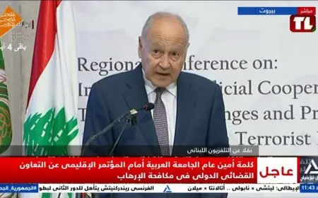 أبو الغيط يؤكد تعزيز التعاون مع الاتحاد الأوروبي في مواجهة الإرهاب