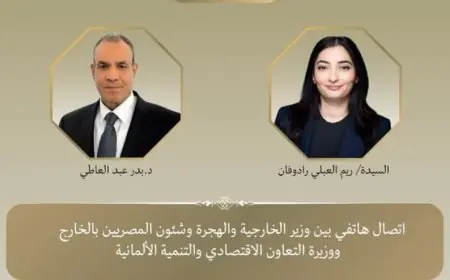 عبد العاطي يدعو المجتمع الدولي للتحرك العاجل لإنهاء معاناة الفلسطينيين