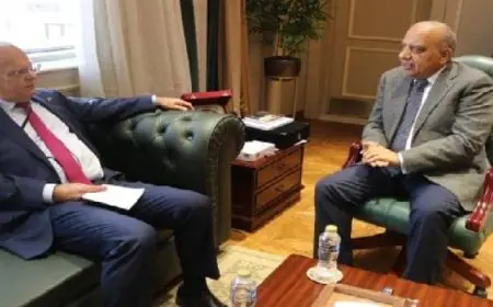 وزير الكهرباء يناقش مع سفير السويد تعزيز الشراكة في الكهرباء والطاقة المتجددة