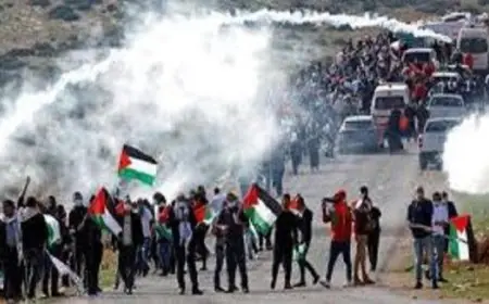 الوطني الفلسطيني يندد بإعدام الاحتلال الإسرائيلي في جنين ويؤكد على ضرورة محاسبة الجناة