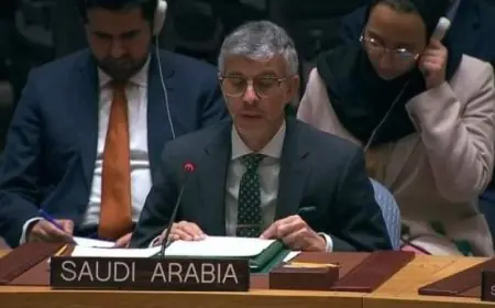 مندوب السعودية يشيد بجهود مصر وقطر وتركيا والولايات المتحدة لوقف النزاع في غزة