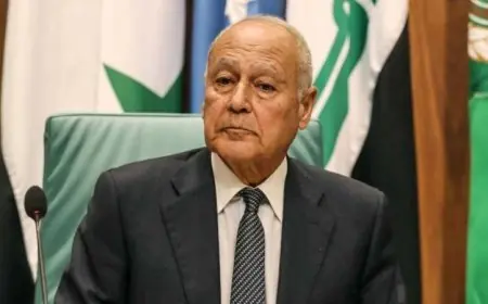 أبو الغيط يؤكد على أهمية الجهود الإقليمية والدولية لدعم لبنان في تجاوز أزمته
