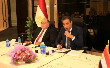 مساعد وزير الخارجية يعلن تقديم جميع سبل الرعاية للمصريين في الخارج