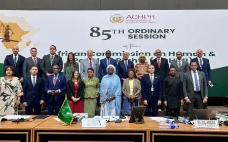 مصر تقدم تقريراً دورياً أمام اللجنة الإفريقية لحقوق الإنسان والشعوب