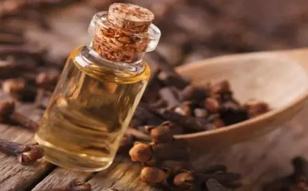 زيت القرنفل يعزز صحة القلب ويعالج مشكلات صحية متنوعة