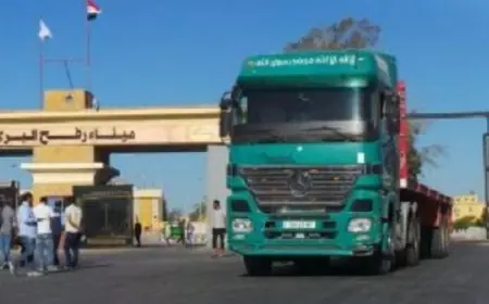 دخول 10 شاحنات مساعدات كويتية في القافلة 60 من ميناء رفح الفرعي