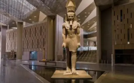 السياحة تنفي صحة الإعلانات المتعلقة بالتطوع لافتتاح المتحف المصري الكبير