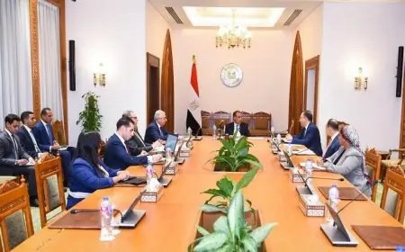 وزير الخارجية يؤكد على ضرورة تعزيز دور مصر في تعزيز العمل الأفريقي المشترك