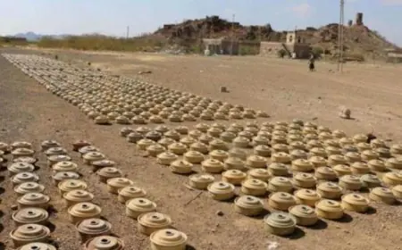 مشروع مسام التابع لمركز الملك سلمان للإغاثة ينتزع 805 ألغام من الأراضي اليمنية في أسبوع واحد
