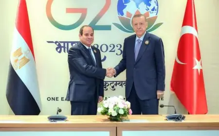 الرئيس السيسي يحتفل بالعيد القومي مع رئيسي تركيا والنمسا ويبعث تهانيه الحارة