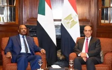 وزير الخارجية يناقش مع نظيره السوداني تطورات الوضع الراهن في السودان
