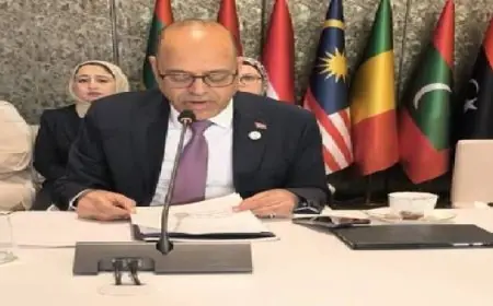 وزير العمل يؤكد على بناء سوق عمل حديث ومتوازن في مصر يتماشى مع الثورة التكنولوجية