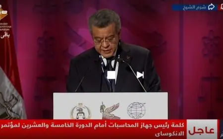 عمومية الإنتوساي توافق بالإجماع على استراتيجية مصر لقيادة المنظمة وترسيخ دورها الدولي