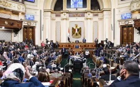 العلاقات الخارجية في مجلس النواب تبحث تحديثات قانون فرض الرسوم على المباني الدبلوماسية في الخارج