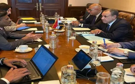 وزير الخارجية يلتقي نائب رئيس مجموعة اوبروى الهندية لتعزيز التعاون التجاري