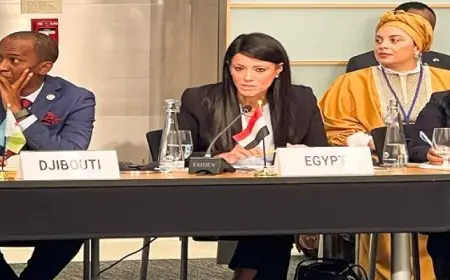 المشاط تبرز أهمية مبادرة البنك الدولي لتحفيز صناعة الأدوية واللقاحات في أفريقيا وتعزيز الأمن الصحي بالقارة