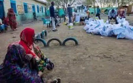 منظمة الصحة العالمية تحذر من مأساة مقتل مئات المرضى في مستشفى الفاشر